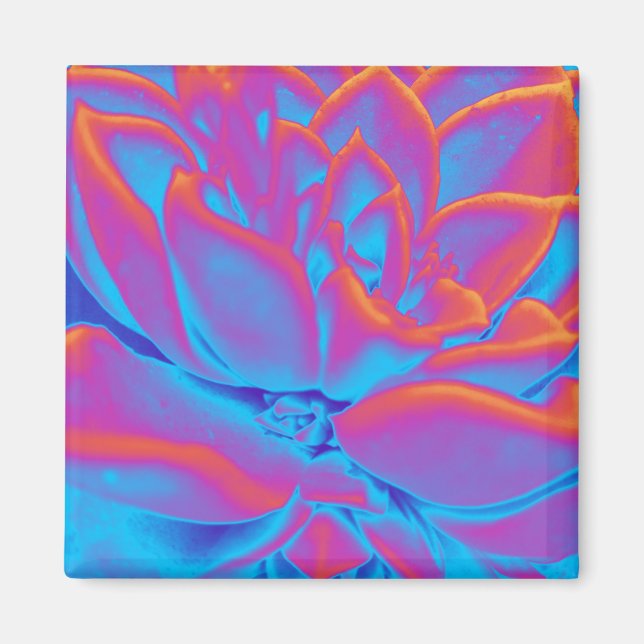 Succulent mystery magnet (Front)