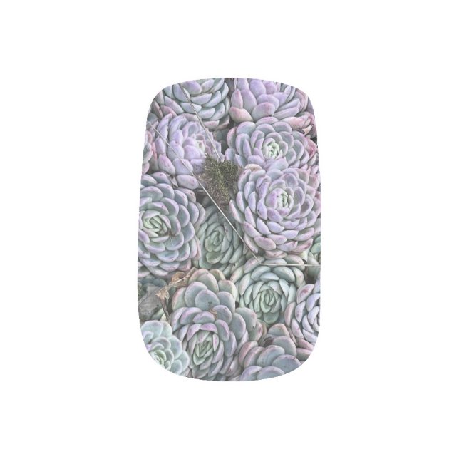 Succulent Nail Art  (Left Thumb)