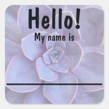 Succulent Name tag Stickers
