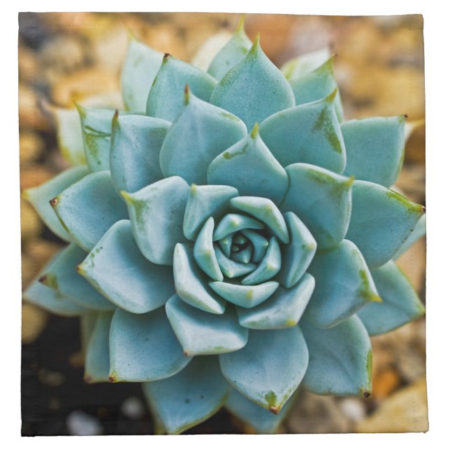 Succulent Napkin (Front)