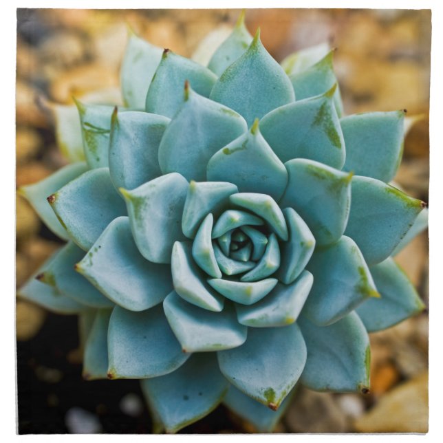 Succulent Napkin (Front)
