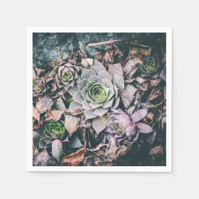 Succulent Napkins  (Front)