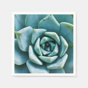 Succulent Napkins