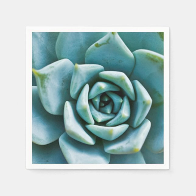 Succulent Napkins (Front)
