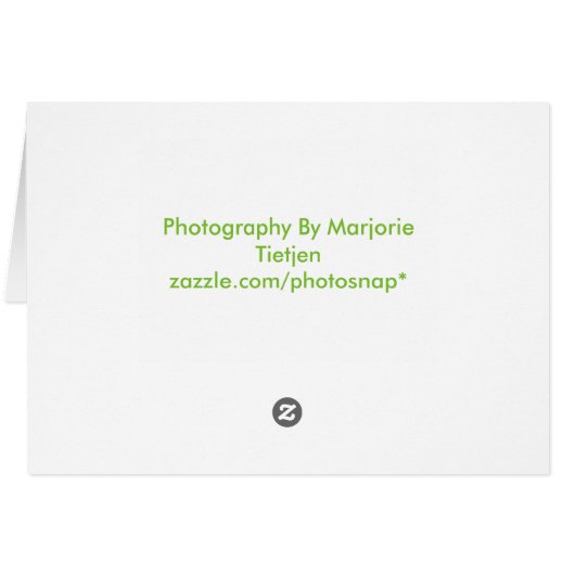 Succulent Note Card (Back Horizontal)