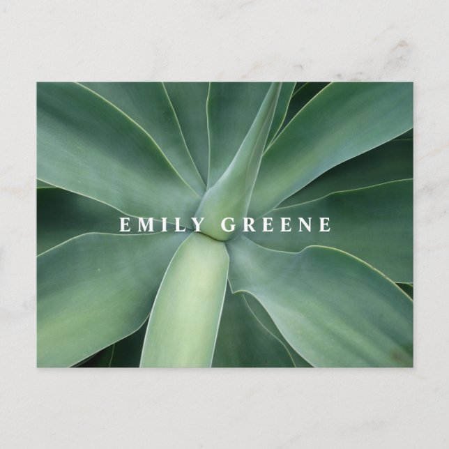 Succulent Notecards (Front)