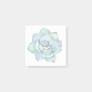 Succulent Notes