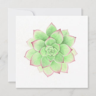 Succulent - Original Artwork by Meghann Russell Holiday Card
