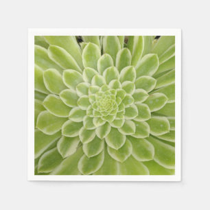 Succulent paper napkins