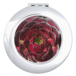 Succulent Photo Red Burgundy Coastal Plant Compact Mirror
