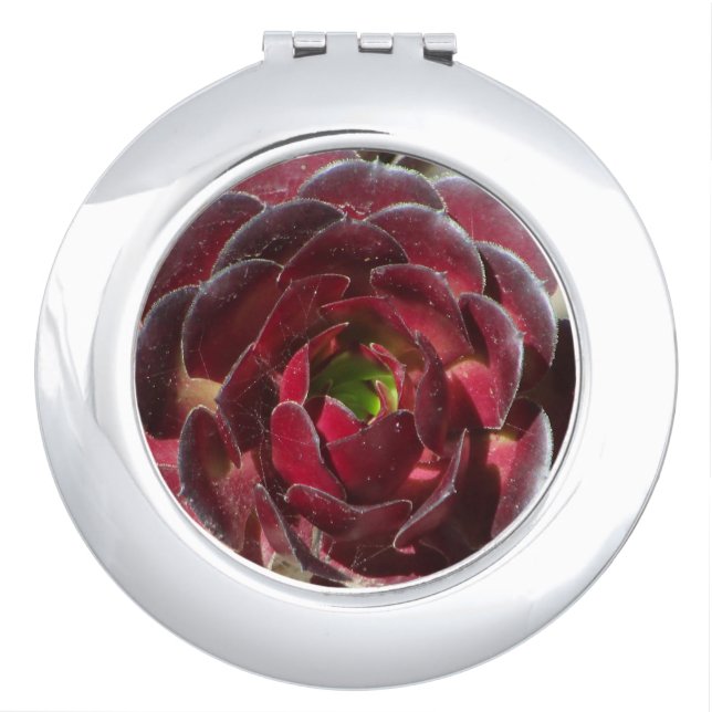 Succulent Photo Red Burgundy Coastal Plant Compact Mirror (Front)