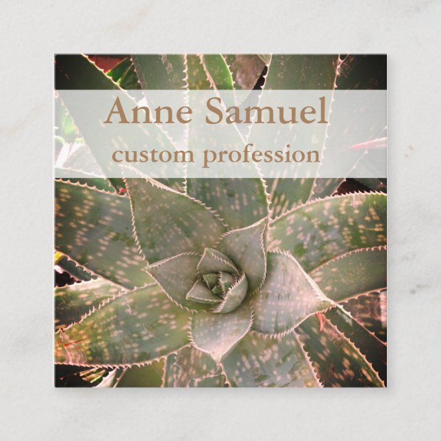 Succulent, Photography, Personalized  Square Business Card (Front)