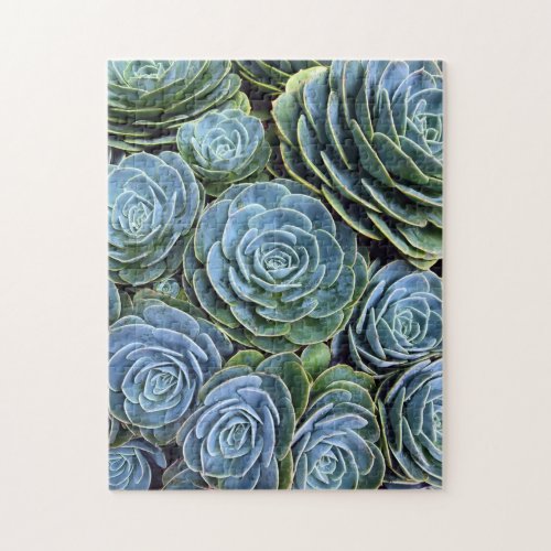 Succulent Photography Succulent Day Cactus Stock Jigsaw Puzzle