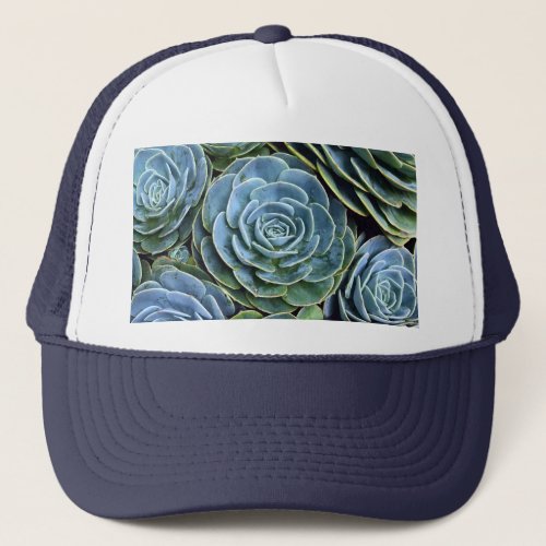 Succulent Photography Succulent Day Cactus Stock Trucker Hat