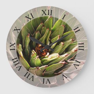 Succulent Plant Botanical Photography 