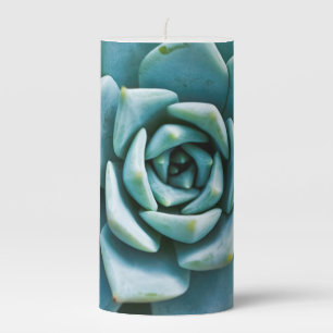 Succulent Plant Closeup Pillar Candle