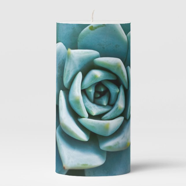 Succulent Plant Closeup Pillar Candle (Front)