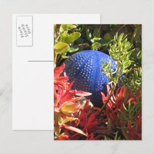 Succulent Plant Garden Blank Postcard