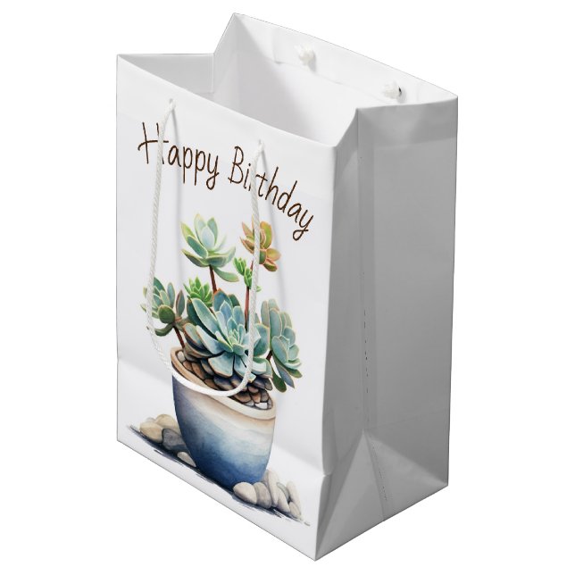 Succulent Plant in Pot Medium Gift Bag (Front Angled)