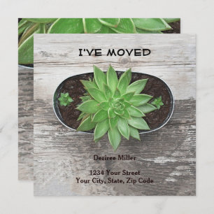 Succulent Plant I've Moved New Address Announcement