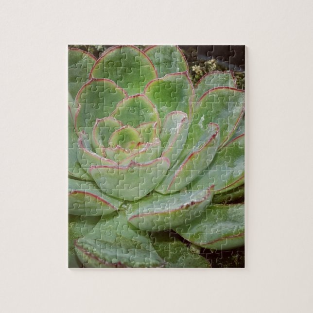 Succulent Plant Jigsaw Puzzle (Vertical)