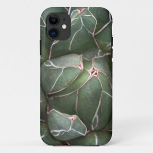 Succulent Plant Photo iPhone SE + iPhone 5/5S iPhone 11 Case