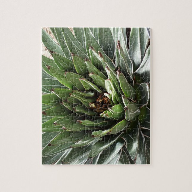 Succulent Plant Photography  Jigsaw Puzzle (Vertical)