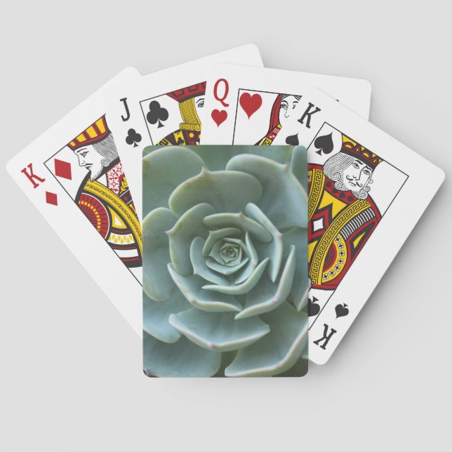 Succulent Plant Poker Cards (Back)