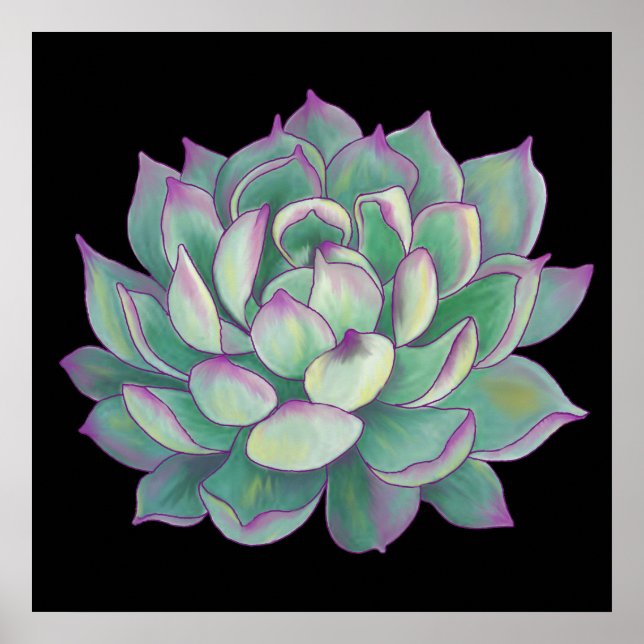 Succulent plant poster (Front)