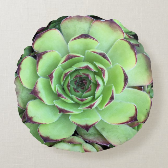 Succulent Plant Texture Photo Round Pillow (Front)