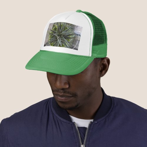 succulent plant trucker hat