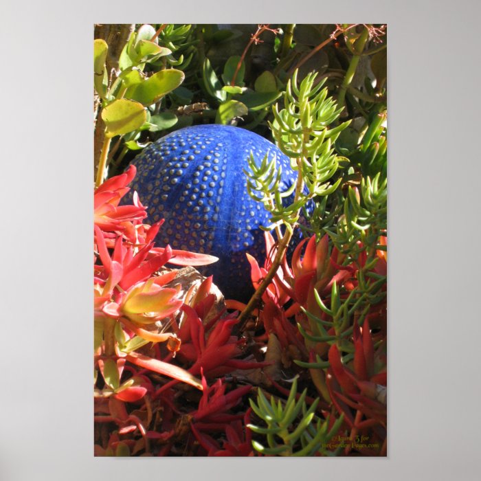 Succulent Plant Underwater Garden Posters