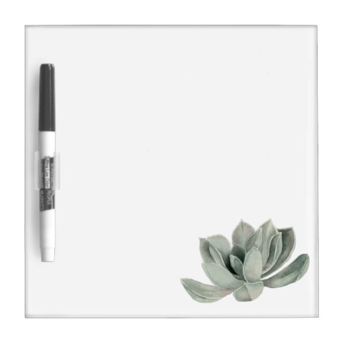 Succulent Plant Watercolor Painting Dry Erase Board