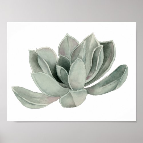 Succulent Plant Watercolor Painting Poster