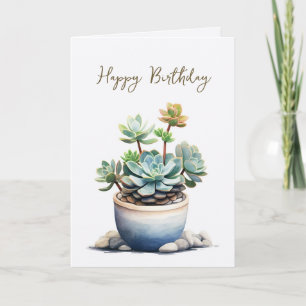 Succulent Plant with Stones Birthday Card