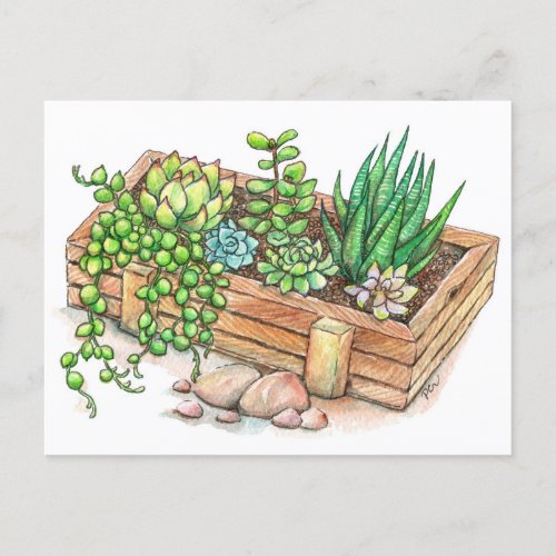 Succulent Planter Box Holiday Postcard