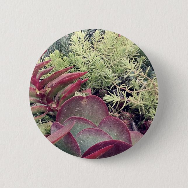 Succulent Plants Button (Front)