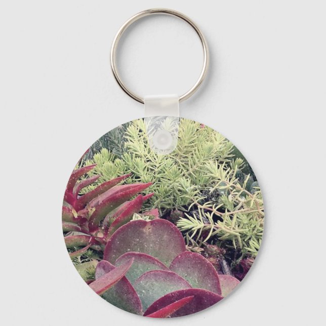 Succulent Plants Keychain (Front)