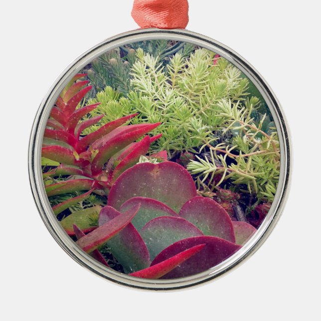 Succulent Plants Metal Ornament (Front)