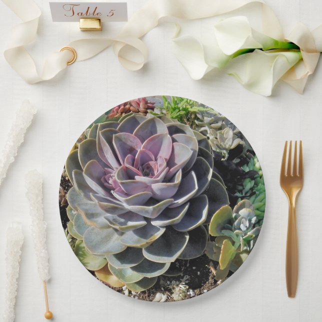 Succulent. Plants Paper Plates (Wedding)
