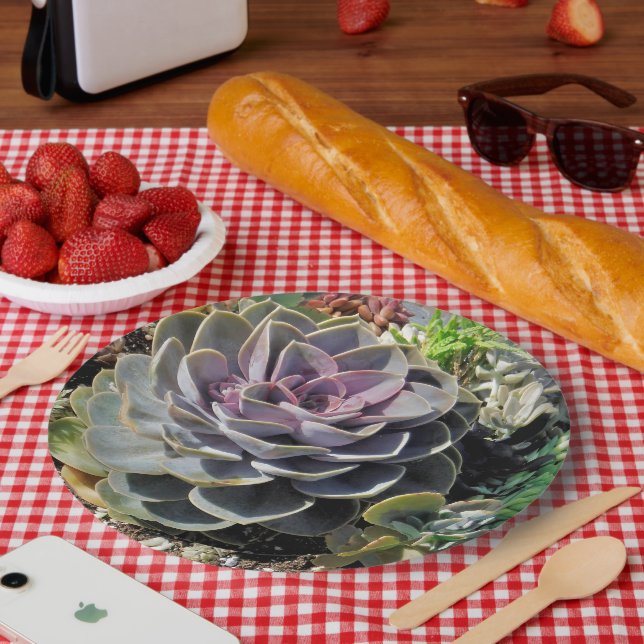 Succulent. Plants Paper Plates (Picnic)