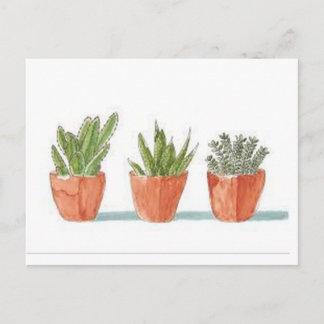 Succulent Postcard