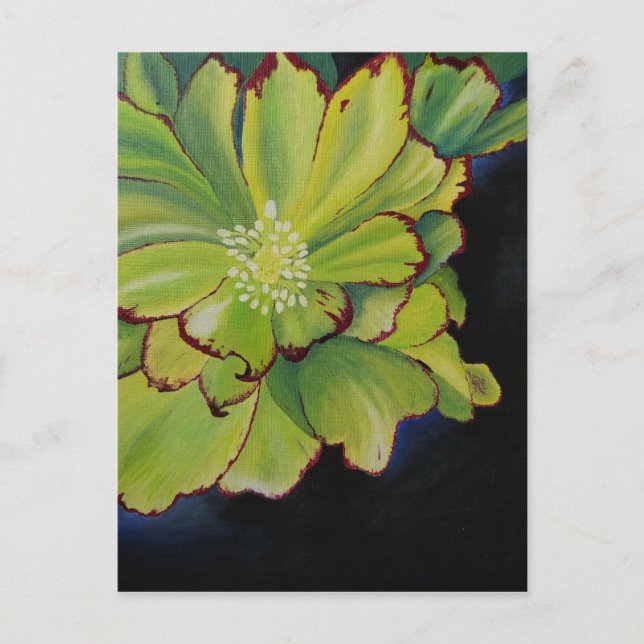 Succulent Postcard (Front)