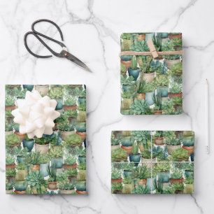 Succulent Potted Plants Wrapping Paper Sheets