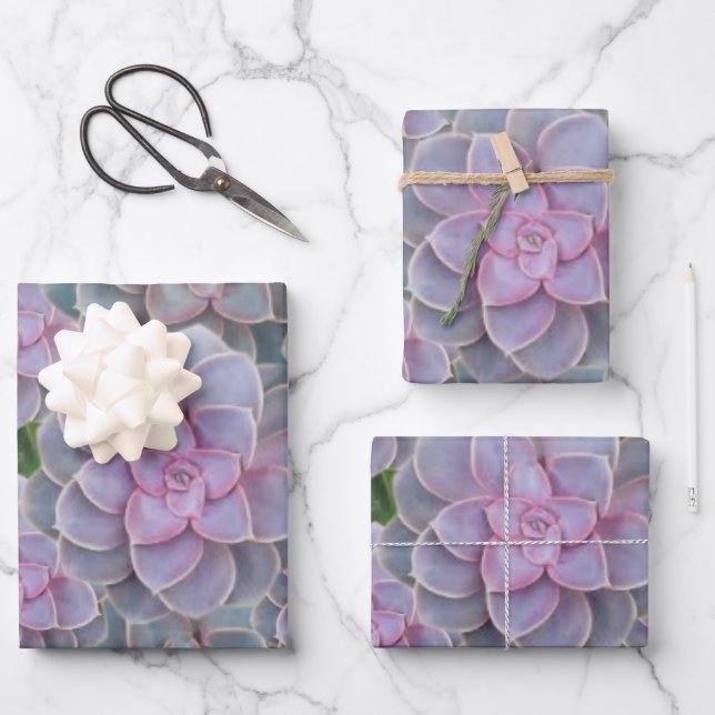 Succulent Purple Periwinkle Floral Wrapping Paper (Front)