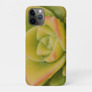 Succulent Rosette Nature Plant Photo Art Print iPhone 11 Pro Case
