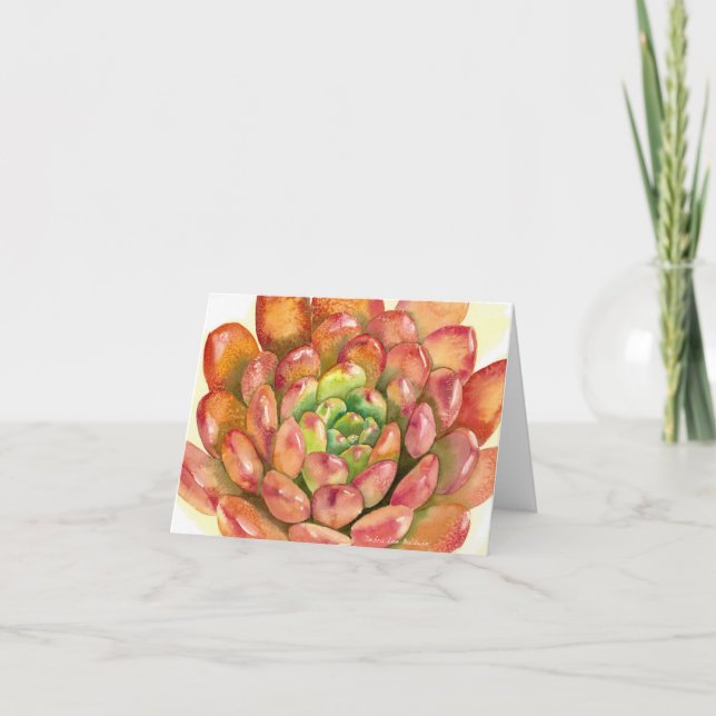 Succulent Sedeveria 'Pink Ruby' watercolor by DLB Card (Front)