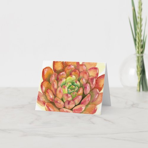 Succulent Sedeveria Pink Ruby watercolor by DLB  Card