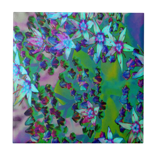 Succulent Sedum Flowers in Aqua, Purple and Blue Ceramic Tile (Front)
