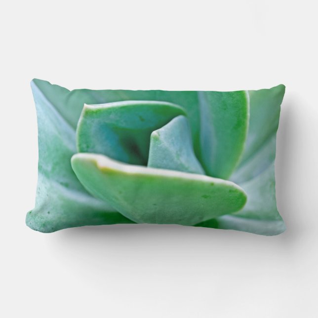 Succulent Swirl Lumbar Pillow (Front)